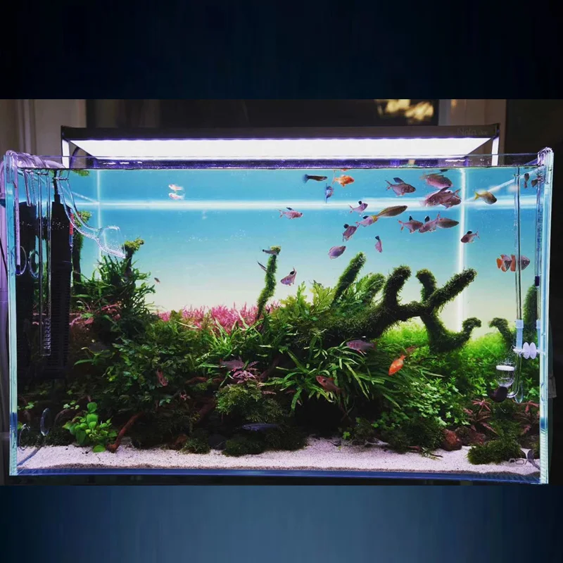 2021 Hot Selling Hanging Bright Low Power Water Aquarium Led Light For Fish Tank 600*450mm - Buy Aquarium Lighting,Fish Tank Aquarium Lights Product on Alibaba.com
