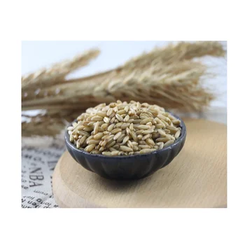100% Natural Healthy Food Rolled Oats Grains Good Grade Breakfast Cereal Oatmeal Kernels
