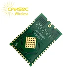 Module Cansec Wireless AN1312UA-A TI CC1312R1F3 IoT Solution Long Range Wireless Rf Transceiver Sub-GHz Module