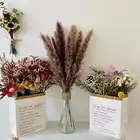 Natural Decorative Pampas Grass Factory Price Hot Sale Small Dried Natural Decorative Flowers Wreaths Christmas