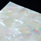 Shell Abalone DB024 Mother Of Pearl Shell Veneer Paua Abalone Paper Laminate Shell Sheet