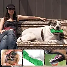 The raised silicone part of the dog toy can effectively clean the plaque and stains on the teeth