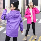 Set Girl's Stormcoat New Spring And Autumn Children's Wear 3 In 1 Children's Fleece Two-piece Set Thickened