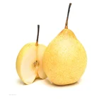 Pear In Pear Best Quality New Crop Fresh Fruits Fresh Pear In Bulk For Purchase