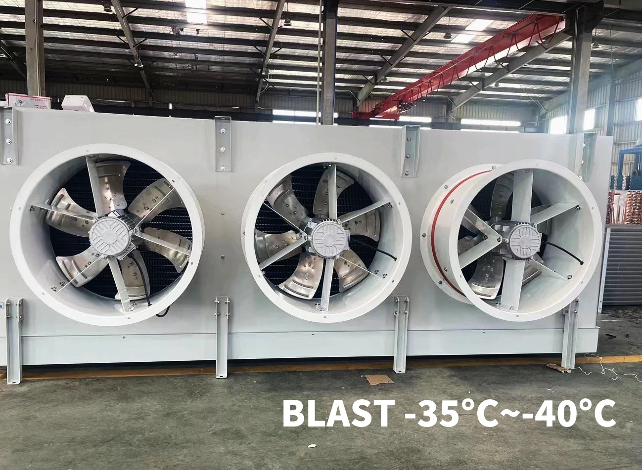 Blast Freezer - detail 22