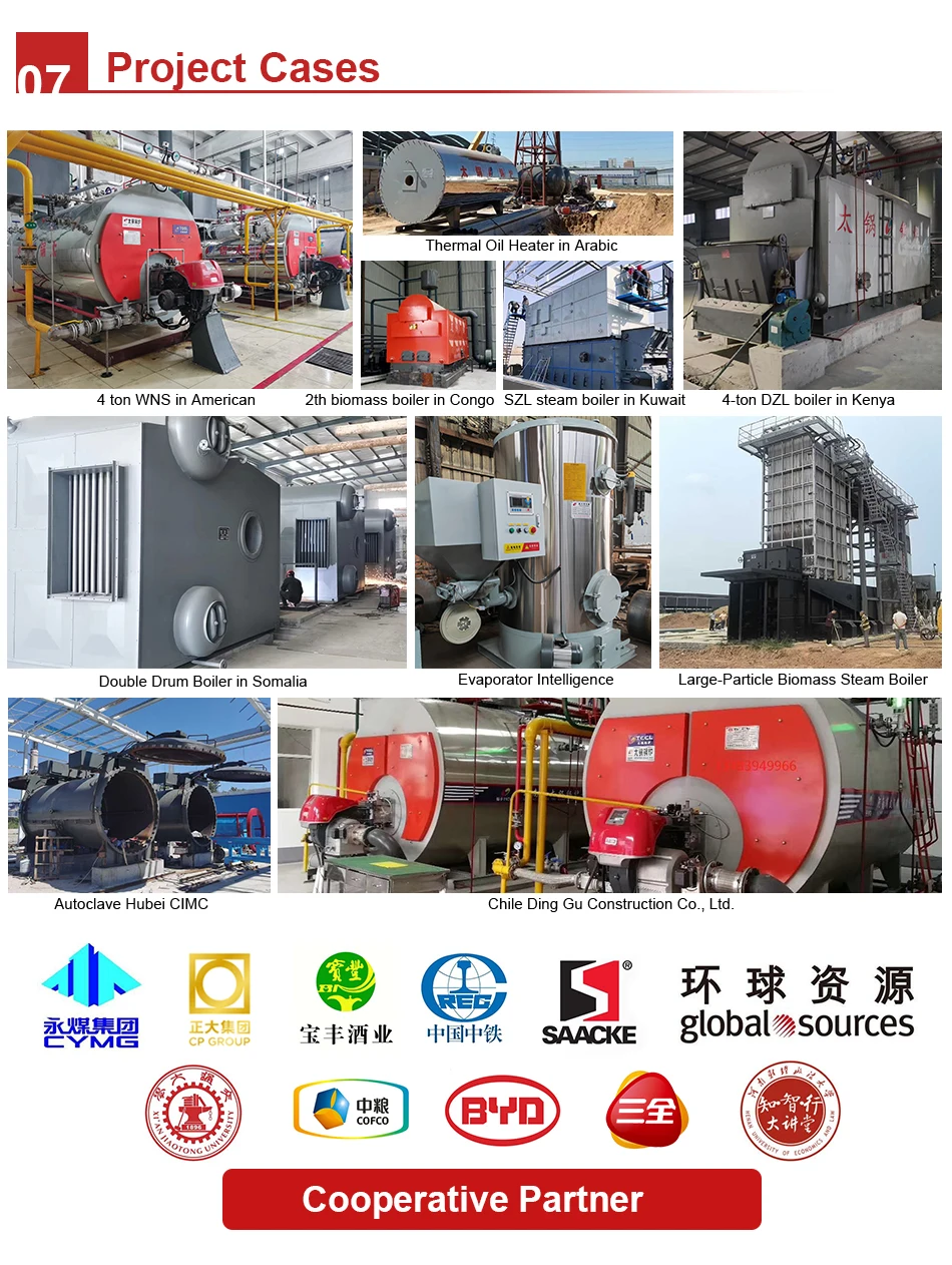 Steam Boiler, 100, 200, 500 - detail 30