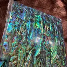 Abalone Soft Natural Abalone Shell Laminate