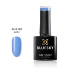 Polish Bluesky Global Top 100 Best Selling Colors 10ml UV Gel Nail Polish
