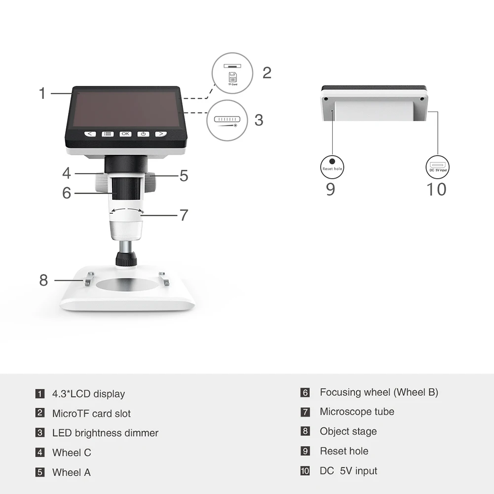 microscope digital camera