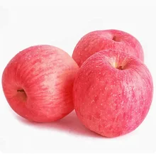 Red Delicious Fuji Apples,Shandong Yantai Penglai Fuji apple,China Original