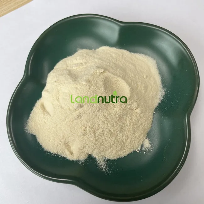 Wholesale Bulk Allicin Dehydrated Garlic Extract Powder Allicin Garlic Extract