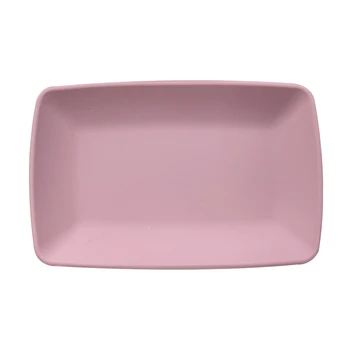 2024 New Solid Color Simple Style Silicone Plate Fruit Noodles Fashion Dinner Plates For Man And Woman