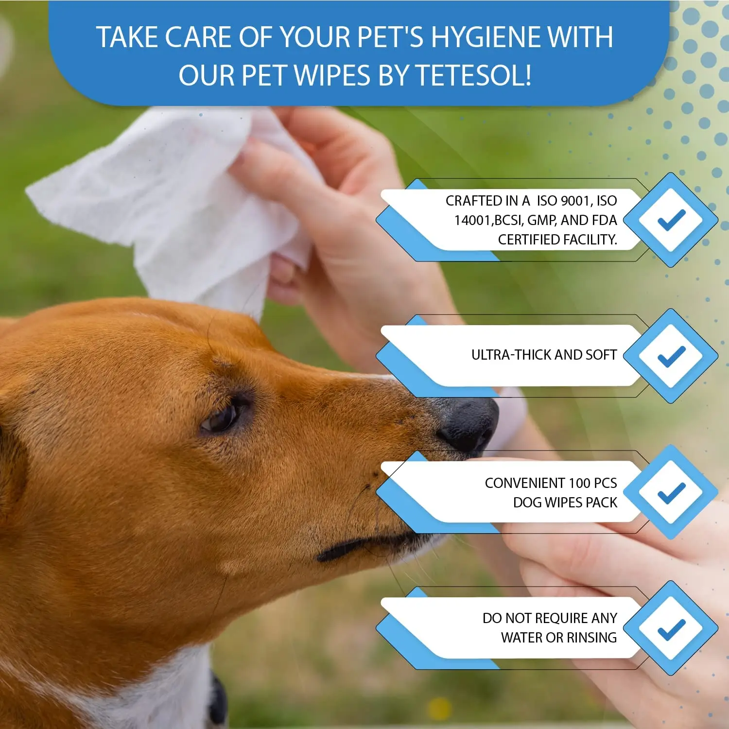  The Ultimate Guide to Choosing the Best Bug Spray for Lawn Pet Friendly Solutions