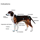 Health Care Approved Health Care Products Portable Canine Use Device Pain Relief Laser Therapy