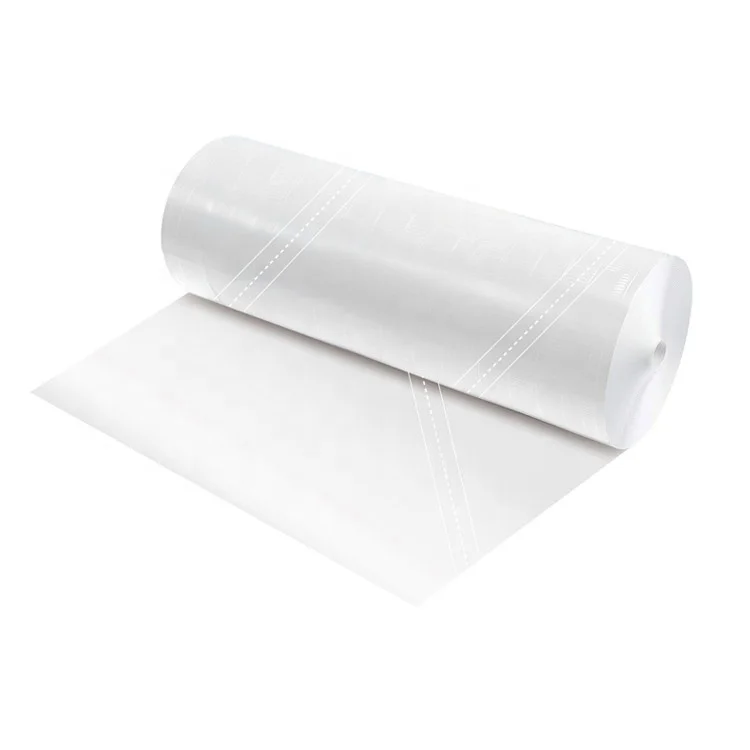 Transparent Plastic Icing Bag 12 Inches Home Kitchen Baking Safe Customized Disposable Piping Bag for Cupcake and Pastry