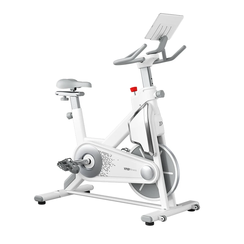 Ypoo Vertical Spin Bike Home Spin Bike 