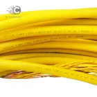 Bundle Core Cord Patch Cord Bunchy Bundle Type Breakout 2.0mm 36 Core / Fiber Multi Fiber Optic Patch Cord