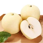 Pear Fresh China Round Pear Good Quality New Crop