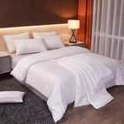 Hot Sale Custom Professional Comfortable Bedding Summer Silk Quilt Tussah Silk Quilt