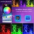 32.8ft 100led USB Powered APP Control Multi Color Design RGB Christmas Outdoor Decoration Copper Fairy Led String Lighting