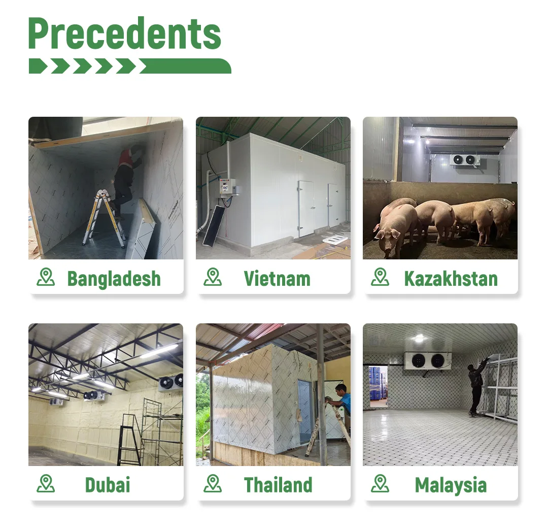 Commercial Walk-in Cooler, 100mm, 220v - detail 14