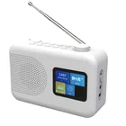 Radio Youtong New Small Size TFT Display Internet FM Radio With Aux Portable DAB/DAB+FM Radio