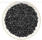 Genuine Granular 99.9% Purity Anthracite Coal Air /Gas Treatment Activated Carbon