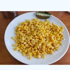 Corn Fresh Healthy Food Canned Crisp Golden Sweet Kernel Corn Maize Price