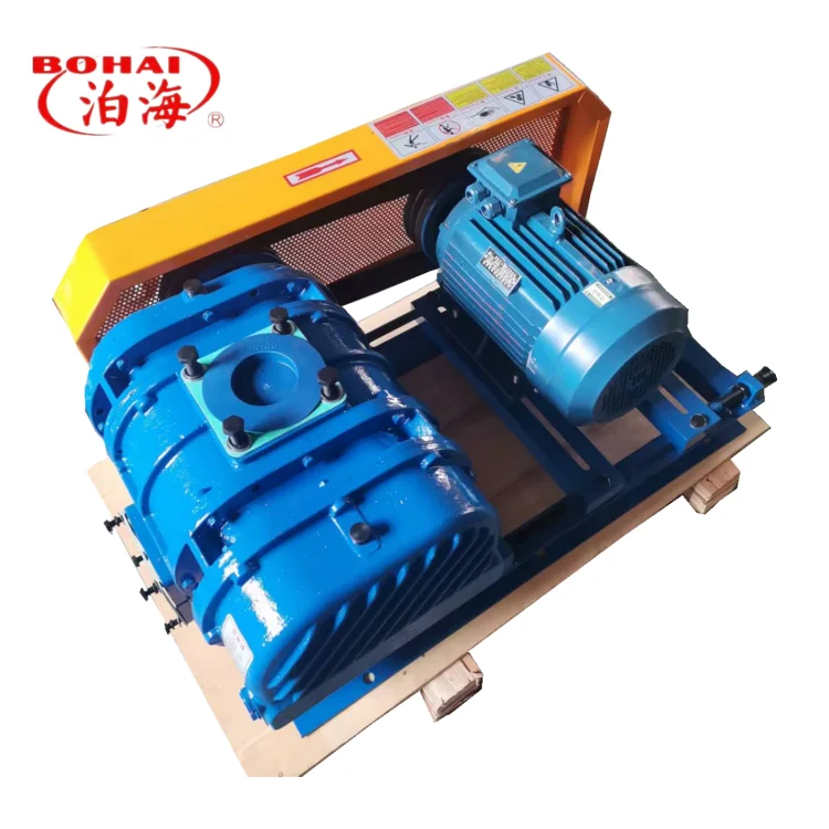 Roots Vacuum Pump, 380v, Electric - detail 2