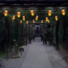 Holiday No Filament LED Waterproof Holiday Christmas Outdoor Indoor Commercial Party Decorative Patio String Lights