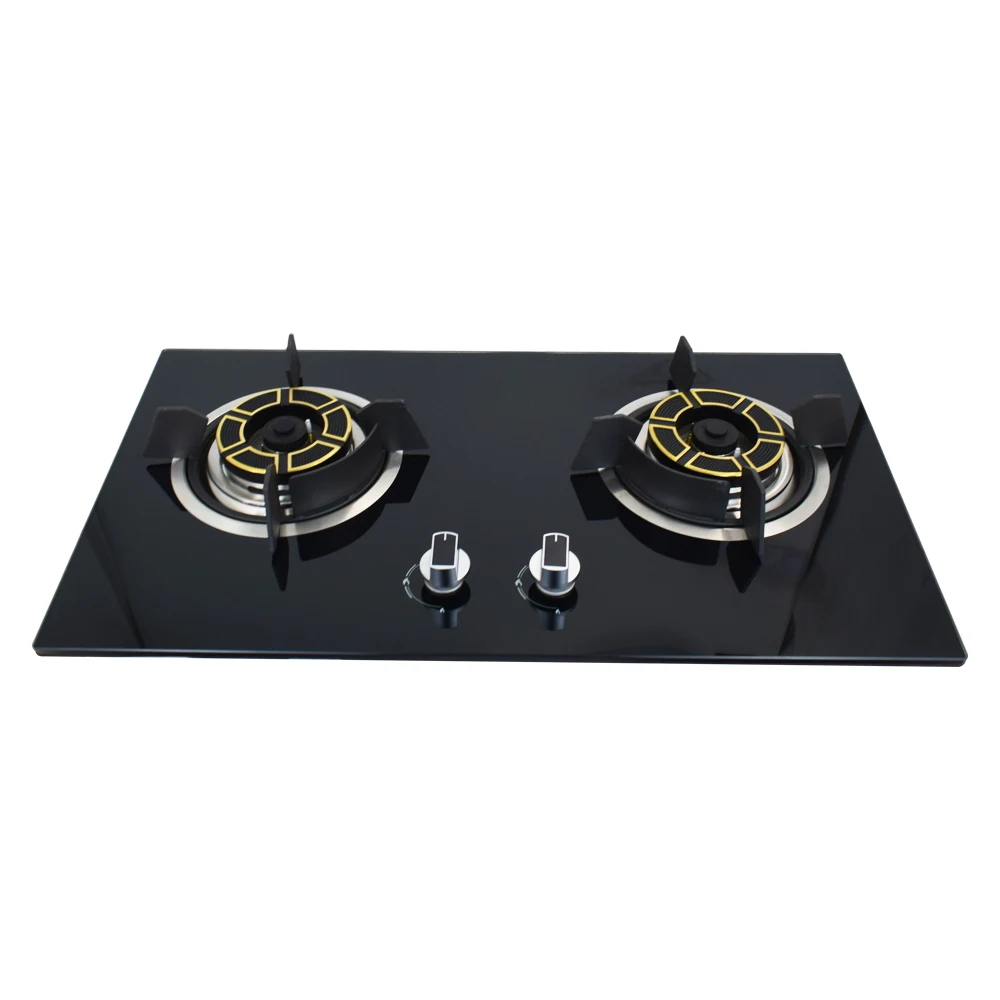 2 burner portable electric stove