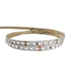 3528 Led Strip Led 3528 Led Strip Warm White Cold White DC 12V/24V Low Power SMD 3528 LED Strip