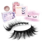 Eyelashes 2021 New Collection Mink Effect High Quality Cheaper Lashes Private Lable Eyelashes