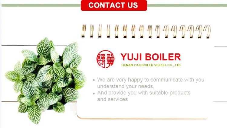 Steam Boiler, 220 V, Natural Circulation - detail 30