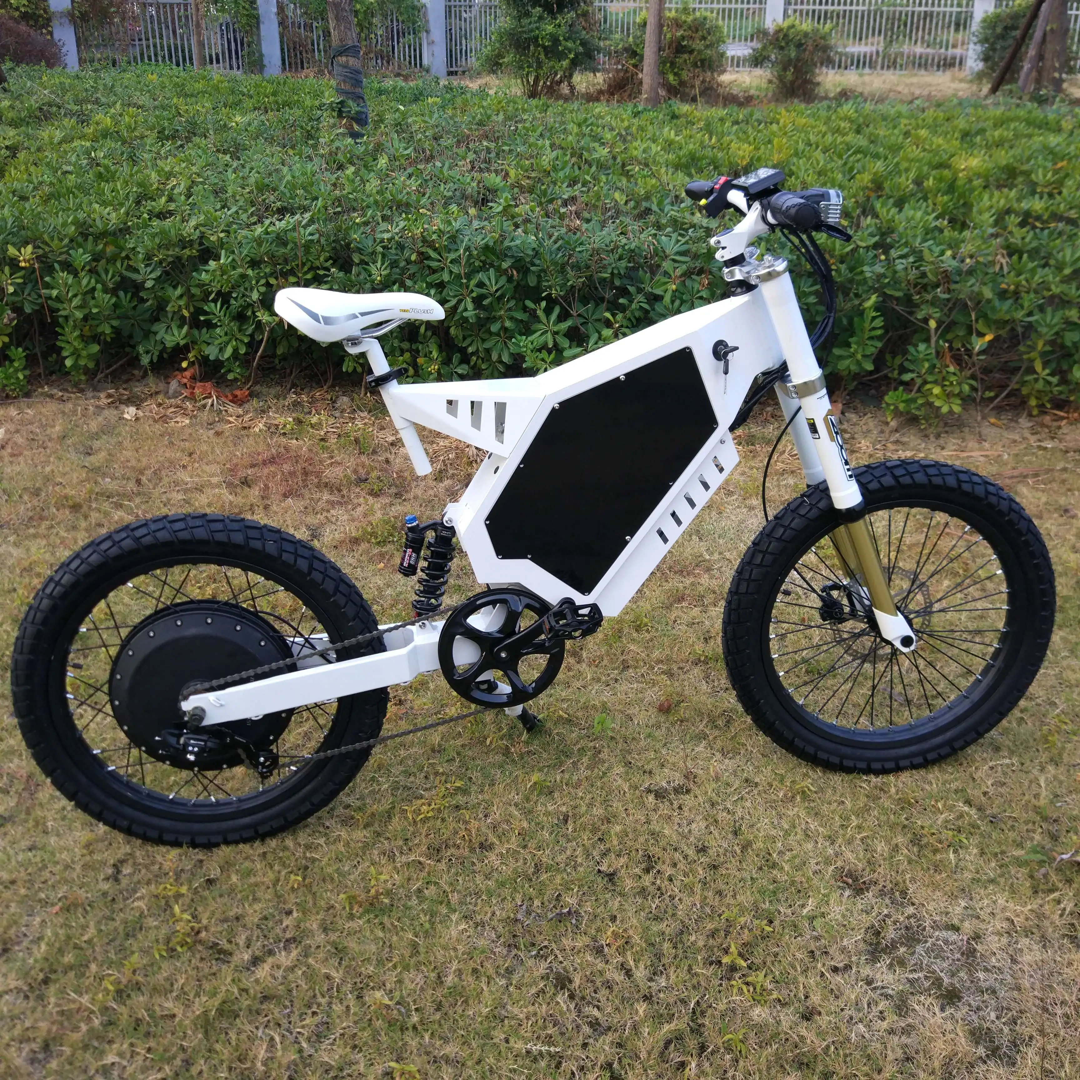 fast adult electric bicycle