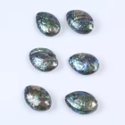 Abalone Shell 30*50mm Abalone Paua Shell Nail Art Shell Paper Nature Shell Paper
