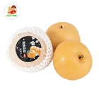 Pear Hot Sale Fresh Korean Singo Pear Whole Sale Price Direct From Factory Qiuyue/Wanqiu/Yuanhuang/Nanshui Pear