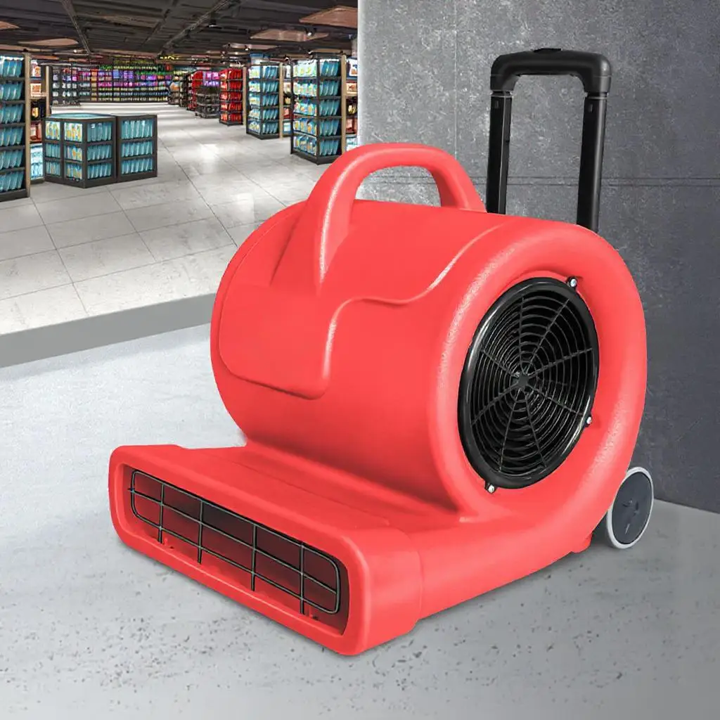 Portable Blower, 220V, 1000W - detail 4