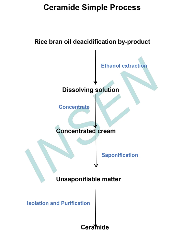 Insen Supply Cosmetic Grade Purity 5% 10% Rice Bran Extract Ceramide 3