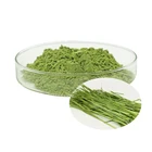 Wheat Wholesale Premium Raw Hot Air Drying Natural Wheat Grass Powder