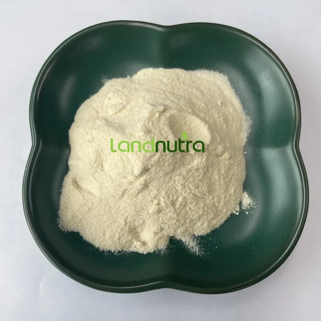 Wholesale Bulk Allicin Dehydrated Garlic Extract Powder Allicin Garlic Extract