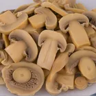 Canned China Canned 800g Canned Mushroom Pieces And Stems PNS In China With Factory Price
