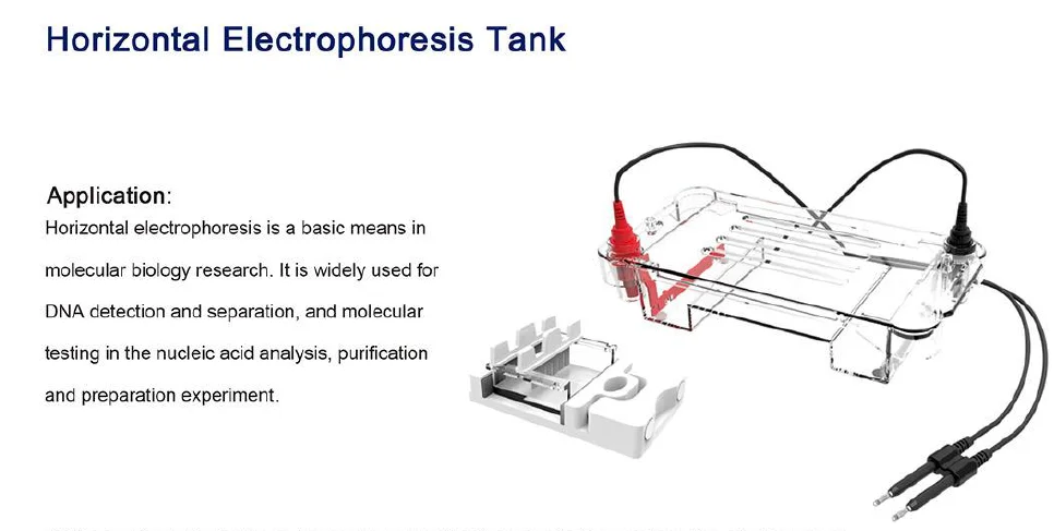 CHINCAN BK-HET01 BK-HET02 Horizontal Electrophoresis Tank Cell Electrophoresis with Cheap Price