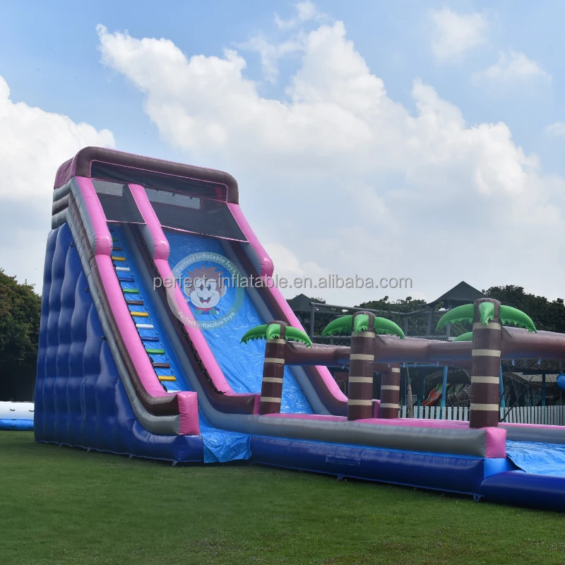 Giant Inflatable Water Slide For Adult Inflatable Water Slide With Pool