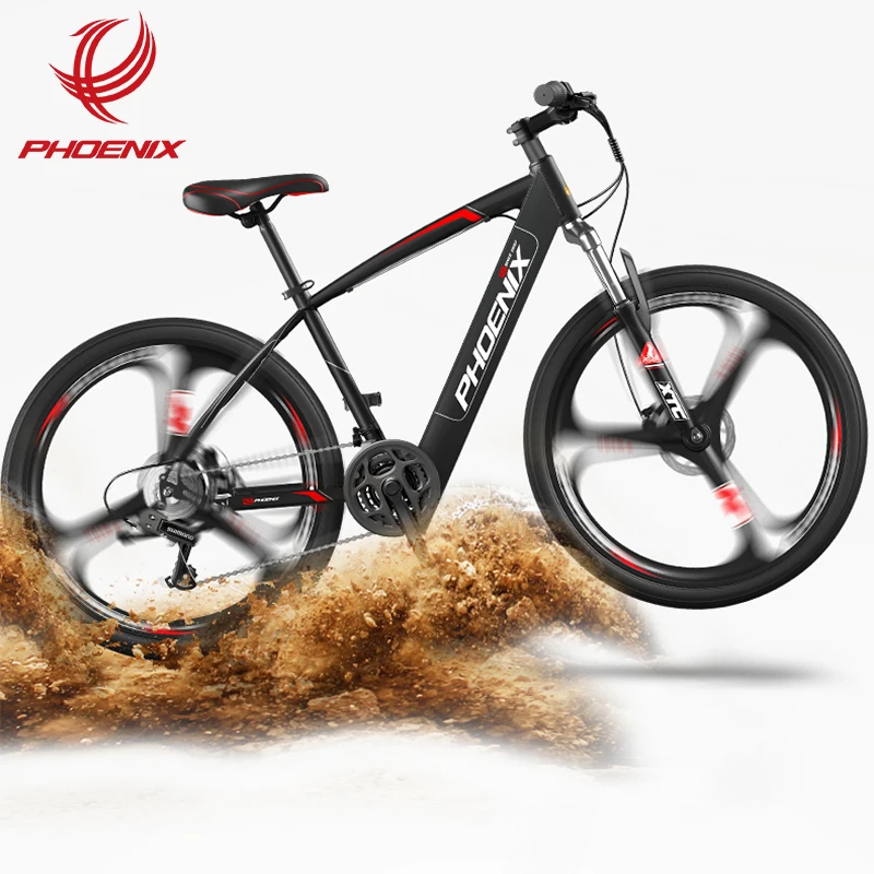 phoenix e bikes