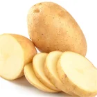 Potato Potatopotato Wholesale China Fresh Yellow Potato