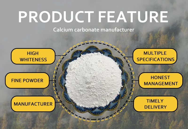 China Factory Supply Calcium Carbonate Powder Super Fine Size Precipitated Type CAS 471-34-1 Rubber, Special for Decoration supplier