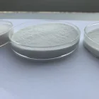 Good Food Good Quality Carboxymethyl Cellulose Food Grade Sodium CMC/CMC White Powder/Food Additive