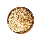 Pine Nut Nuts China Pine Nuts Kernel Pine Nut Pine Nuts Kernel China Processing Plant Directly Supplying