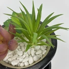 Flower Pot Flower Designer Wholesale Hot Sale Interior Decoration Round Flower Pot Hotel Or House Decoration